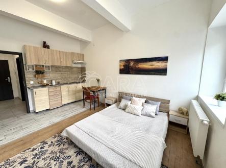 Prodej bytu, 1+kk, 26,2 m²