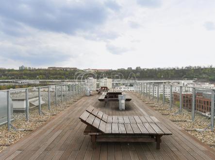 Pronájem bytu, 3+kk, 42 m²