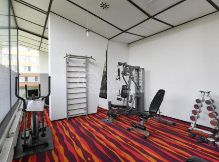 Pronájem bytu, 3+kk, 42 m²