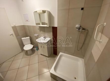 Pronájem bytu, 2+kk, 43,9 m²