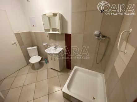 Pronájem bytu, 2+kk, 43,9 m²