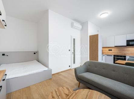 Pronájem bytu, 1+kk, 31,4 m²