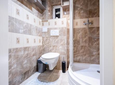 Pronájem bytu, 1+1, 37 m²