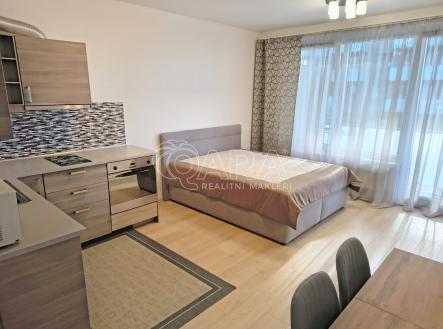 Pronájem bytu, 1+kk, 38 m² obrázek