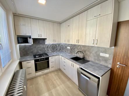 Pronájem bytu, 1+1, 41,1 m²