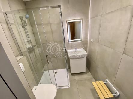 Pronájem bytu, 1+1, 41,1 m²