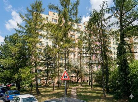Prodej bytu, 1+kk, 31 m²