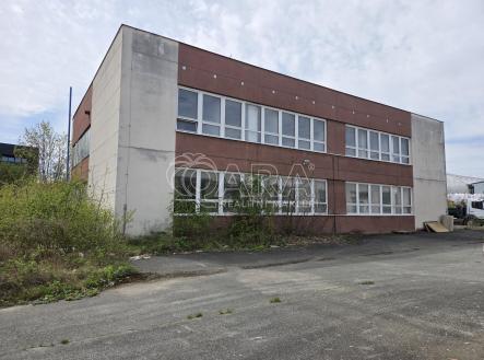 Pronájem obchodní prostor, 10 000 m²