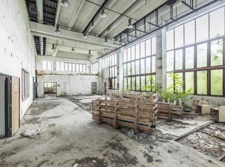 Pronájem obchodní prostory, 10 000 m²