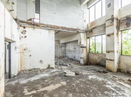 Pronájem obchodní prostory, 10 000 m²