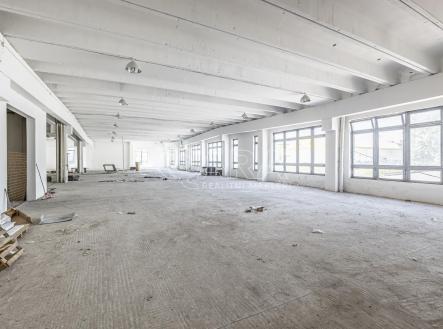 Pronájem obchodní prostory, 10 000 m²