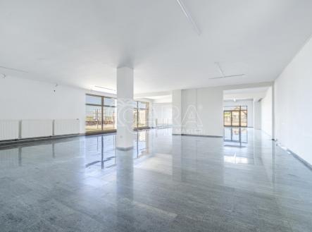 Pronájem obchodní prostor, 330 m²