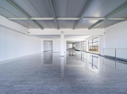 Pronájem obchodní prostor, 330 m²