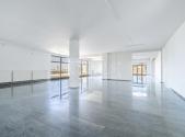 Pronájem obchodní prostory, 330 m²
