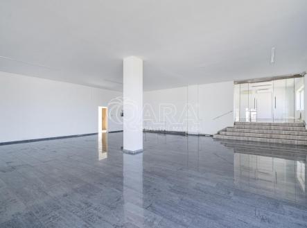 Pronájem obchodní prostory, 330 m²