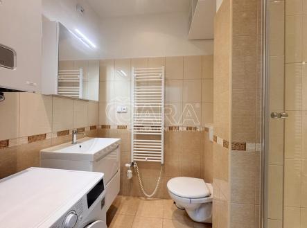 Pronájem bytu, 2+1, 42 m²