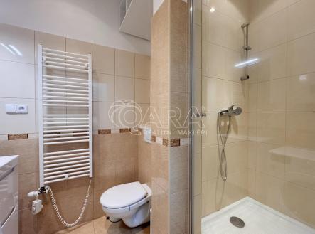 Pronájem bytu, 2+1, 42 m²
