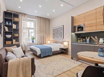 Prodej bytu, 2+kk, 45 m²