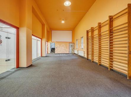 Pronájem komerčního objektu, jiný, 290 m²
