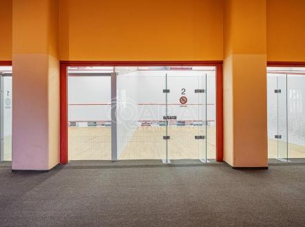 Pronájem komerčního objektu, jiný, 290 m²