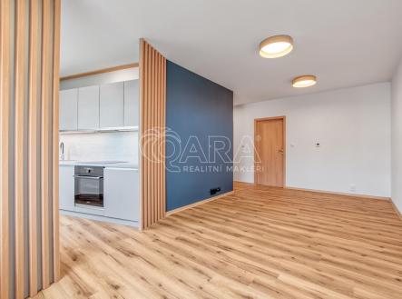 Pronájem bytu, 3+1, 66 m²