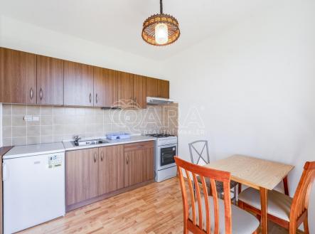 Pronájem bytu, 1+kk, 47 m²