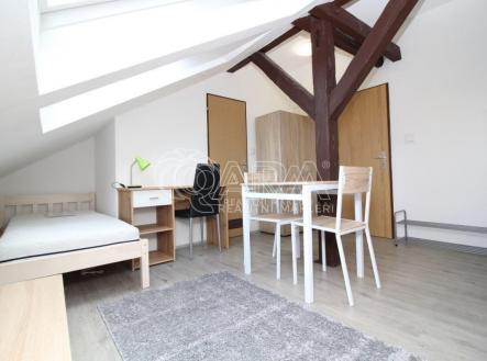 Pronájem bytu, 1+kk, 19 m²