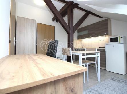 Pronájem bytu, 1+kk, 19 m²