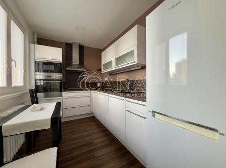 Pronájem bytu, 1+1, 48 m²