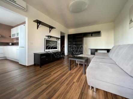 Pronájem bytu, 1+1, 48 m²