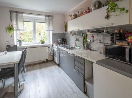 Pronájem bytu, 2+1, 54 m²
