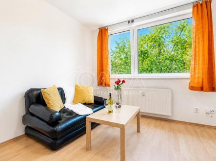 Prodej bytu, 1+kk, 30,6 m²