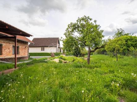 Prodej domu/vily, 239 m²