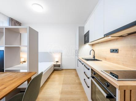 Pronájem bytu, 1+kk, 28 m²
