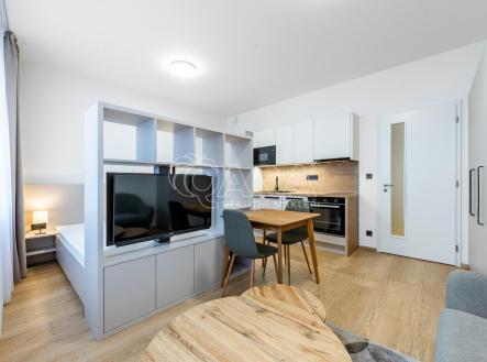 Pronájem bytu, 1+kk, 28 m²