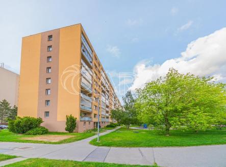 Pronájem bytu, 1+kk, 31 m² obrázek
