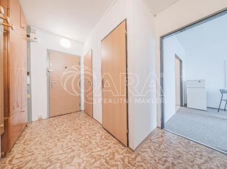 Pronájem bytu, 1+kk, 31 m²