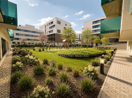 Pronájem bytu, 3+kk, 72 m²