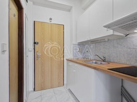 Pronájem bytu, 1+kk, 18 m²