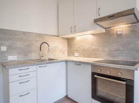Pronájem bytu, 1+kk, 21 m²