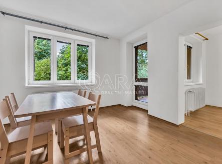 Pronájem bytu, 2+1, 53,8 m²