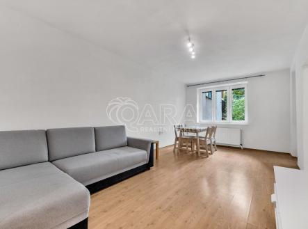 Pronájem bytu, 2+1, 53,8 m²