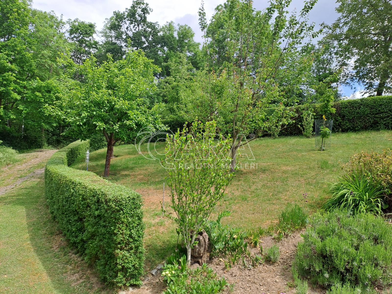 20260521_115455.jpg
