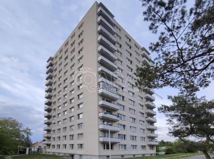Pronájem bytu, 1+kk, 24 m²