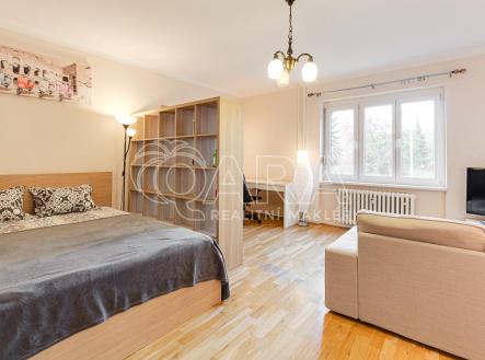 Pronájem bytu, 1+1, 44 m²