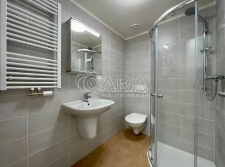 Pronájem bytu, 1+kk, 29 m²