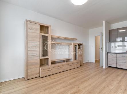 Pronájem bytu, 1+kk, 26 m²