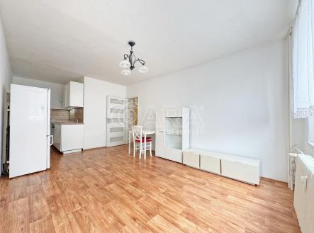 Prodej bytu, 2+kk, 43 m²