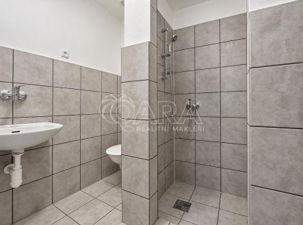 Pronájem domu/vily, 65 m²