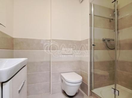Pronájem bytu, 2+1, 54,6 m²